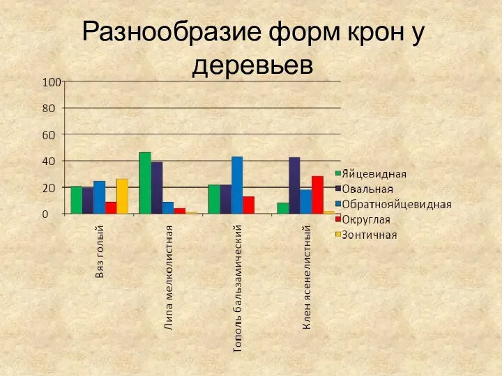 Разнообразие форм крон у деревьев