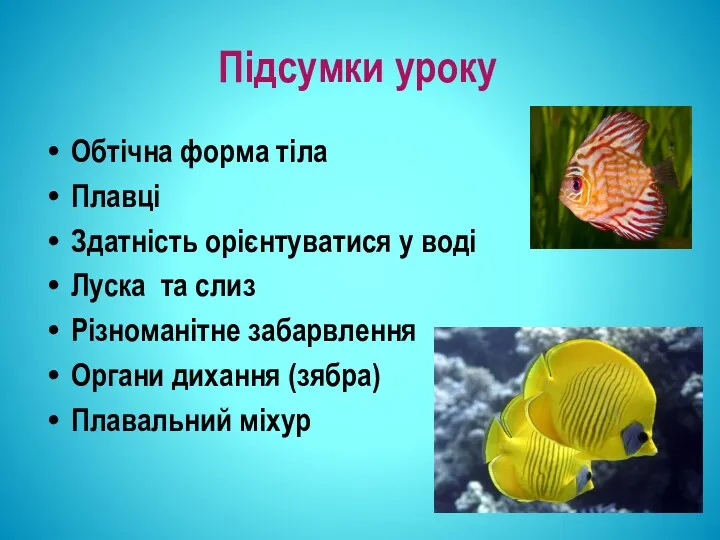 Підсумки уроку Обтічна форма тіла Плавці Здатність орієнтуватися у воді