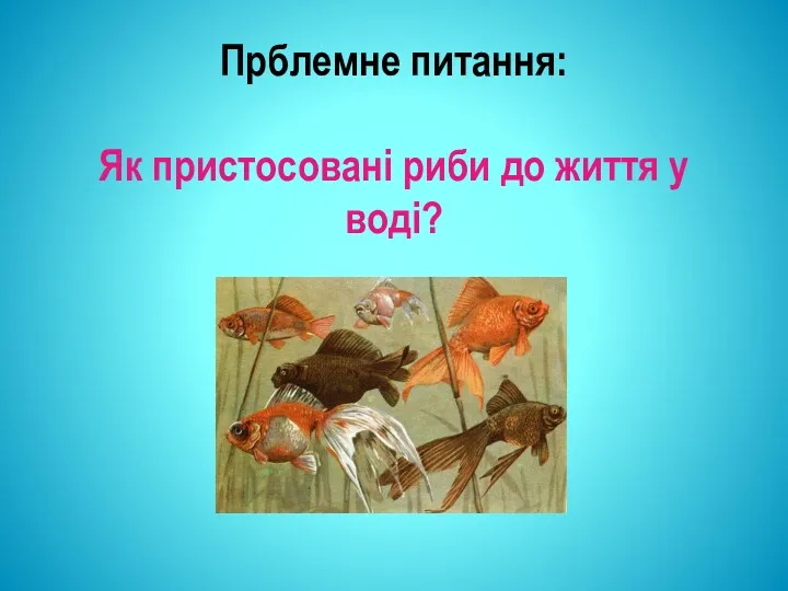 Прблемне питання: Як пристосовані риби до життя у воді?