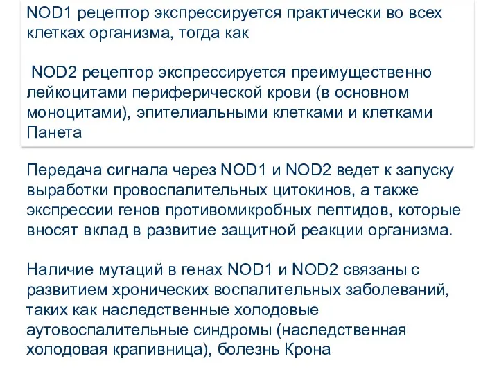 NOD1 рецептор экспрессируется практически во всех клетках организма, тогда как