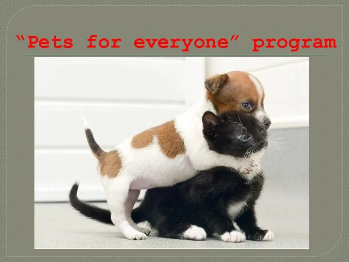 “Pets for everyone” program