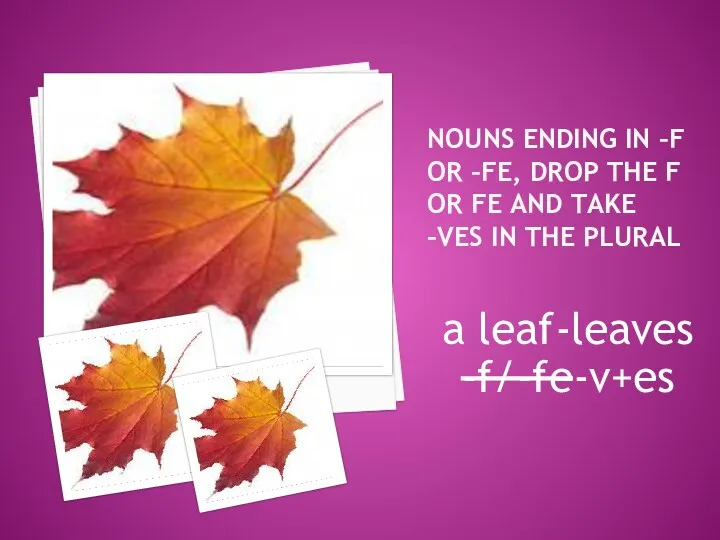 NOUNS ENDING IN –F OR –FE, DROP THE F OR FE AND TAKE