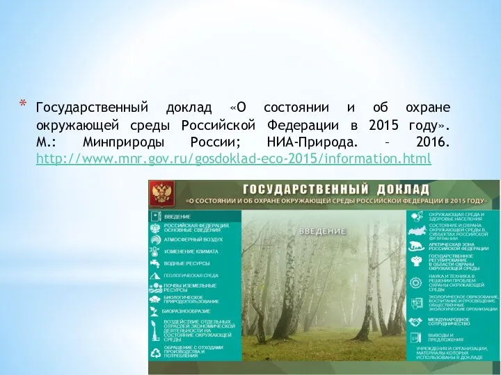 Государственный доклад «О состоянии и об охране окружающей среды Российской