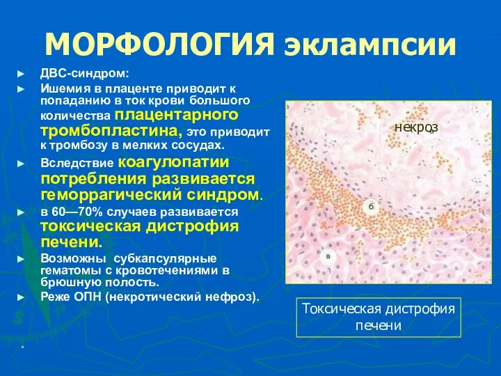 * МОРФОЛОГИЯ эклампсии ДВС-синдром: Ишемия в плаценте приводит к попаданию