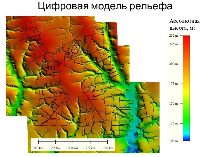 Цифровая модель рельефа Абсолютная высота, м: