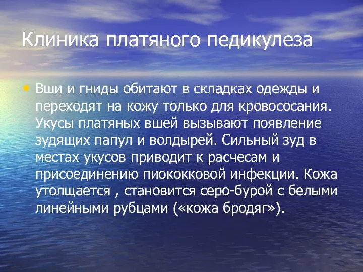 Клиника платяного педикулеза Вши и гниды обитают в складках одежды