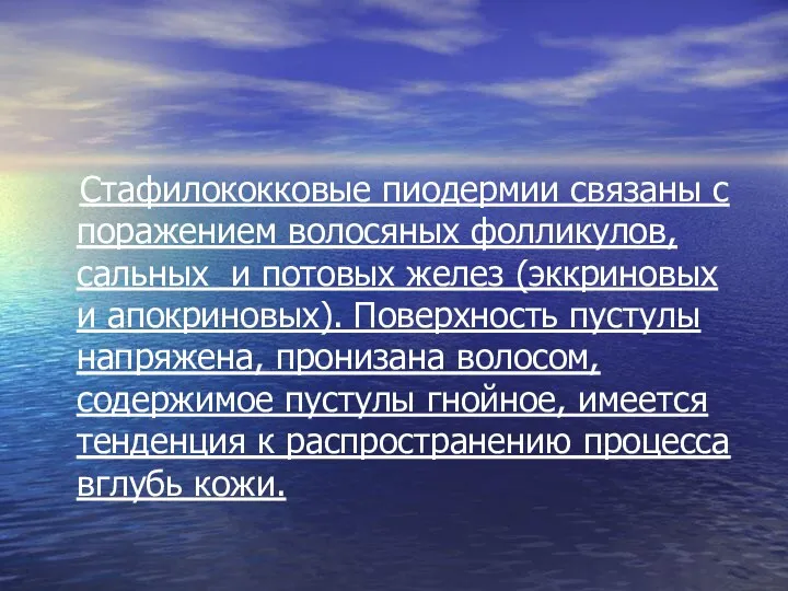 Стафилококковые пиодермии связаны с поражением волосяных фолликулов, сальных и потовых