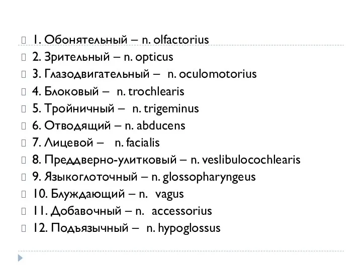 1. Обонятельный – n. olfactorius 2. Зрительный – n. opticus