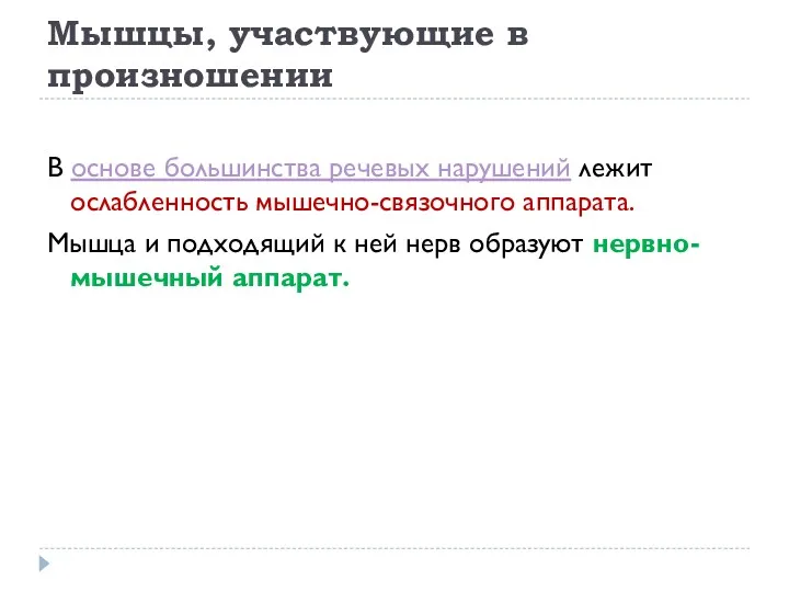 Мышцы, участвующие в произношении В основе большинства речевых нарушений лежит