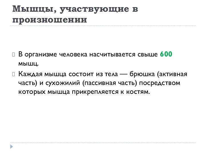 Мышцы, участвующие в произношении В организме человека насчитывается свыше 600