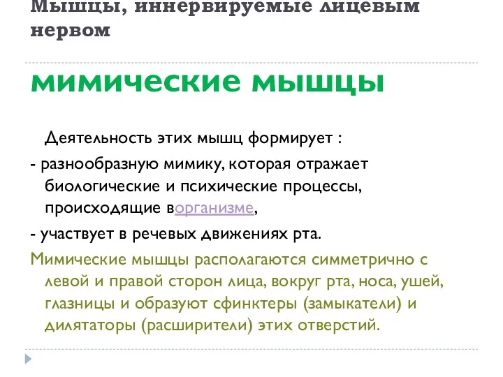 Мышцы, иннервируемые лицевым нервом мимические мышцы Деятельность этих мышц формирует