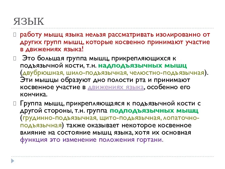 ЯЗЫК работу мышц языка нельзя рассматривать изолированно от других групп