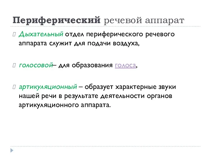 Периферический речевой аппарат Дыхательный отдел периферического речевого аппарата служит для