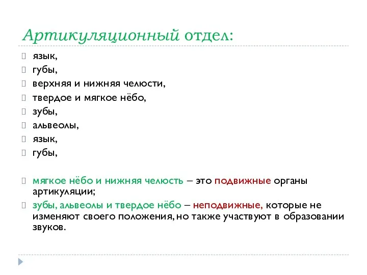 Артикуляционный отдел: язык, губы, верхняя и нижняя челюсти, твердое и