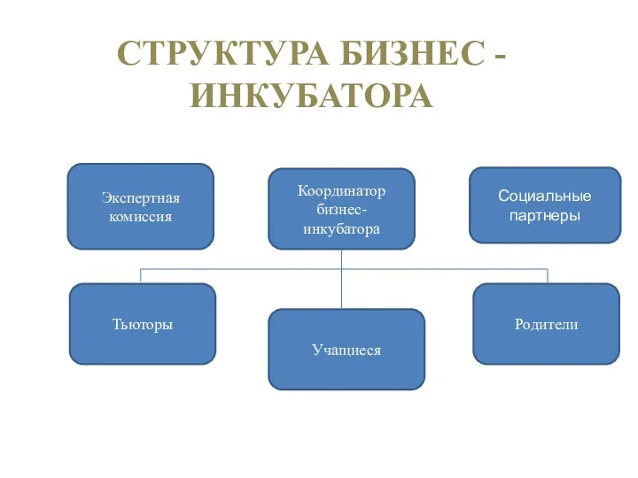 СТРУКТУРА БИЗНЕС -ИНКУБАТОРА Координатор бизнес-инкубатора Социальные партнеры Экспертная комиссия Учащиеся Родители Тьюторы