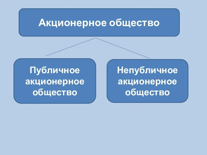 Акционерное общество Непубличное акционерное общество Публичное акционерное общество