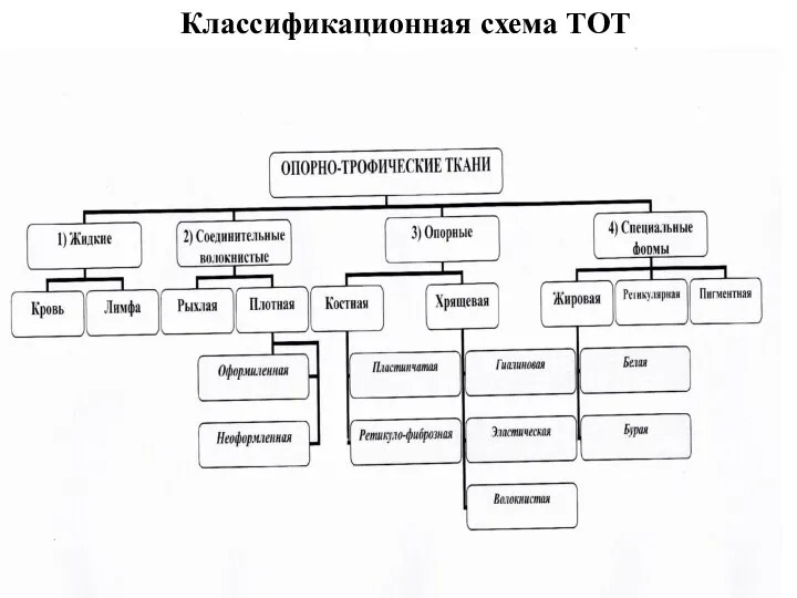 Классификационная схема ТОТ