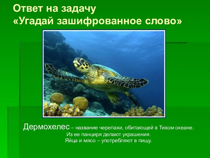 Ответ на задачу «Угадай зашифрованное слово» Дермохелес – название черепахи,