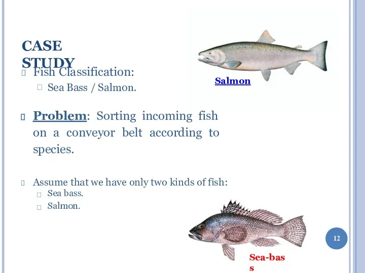 CASE STUDY Fish Classification:  Sea Bass / Salmon. Problem: Sorting incoming fish