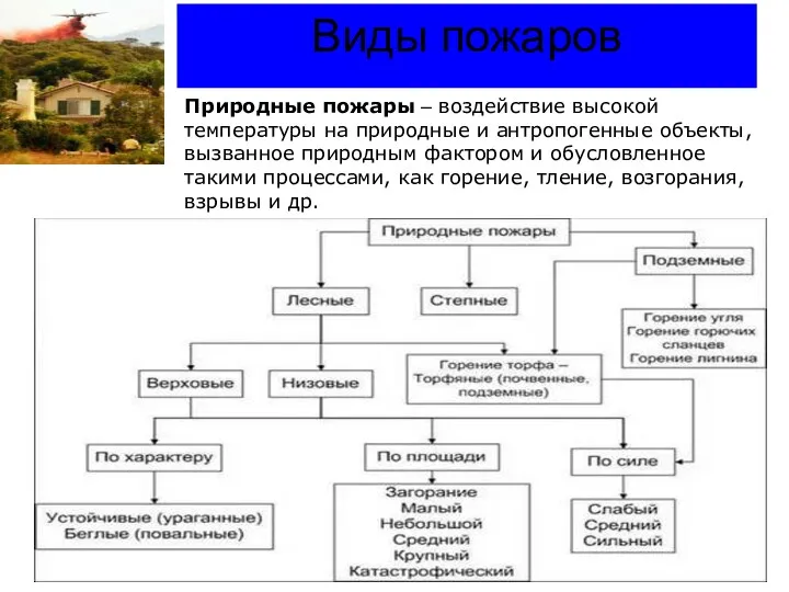 Виды пожаров Природные пожары – воздействие высокой температуры на природные