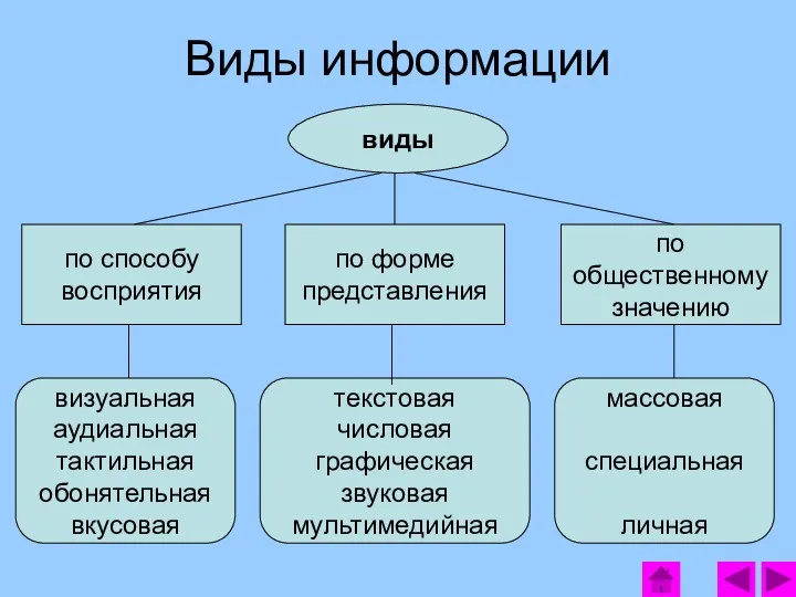 виды по способу восприятия по форме представления по общественному значению