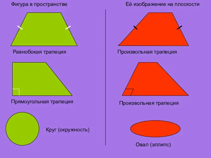 Фигура в пространстве Её изображение на плоскости Равнобокая трапеция Произвольная