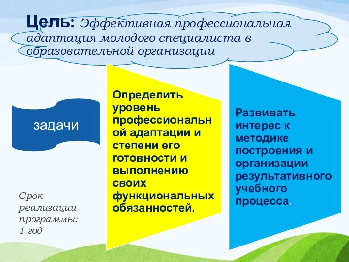 Цель: Эффективная профессиональная адаптация молодого специалиста в образовательной организации Срок реализации программы: 1 год