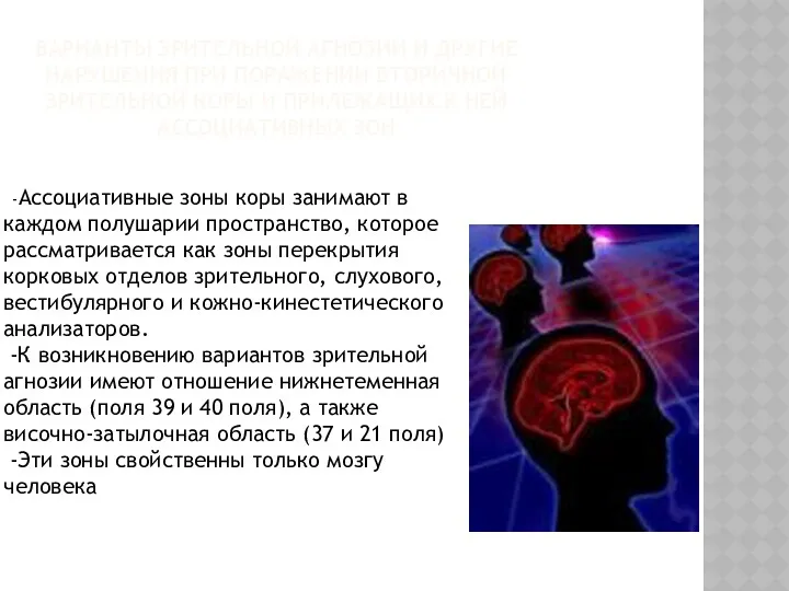 ВАРИАНТЫ ЗРИТЕЛЬНОЙ АГНОЗИИ И ДРУГИЕ НАРУШЕНИЯ ПРИ ПОРАЖЕНИИ ВТОРИЧНОЙ ЗРИТЕЛЬНОЙ