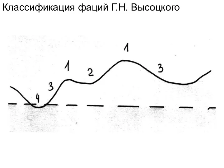 Классификация фаций Г.Н. Высоцкого