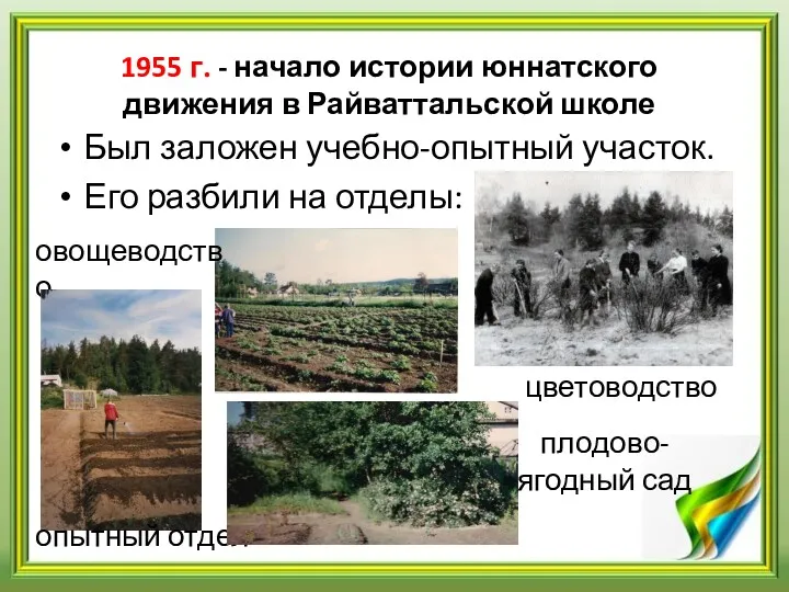 1955 г. - начало истории юннатского движения в Райваттальской школе