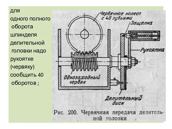 для одного полного оборота шпинделя делительной головки надо рукоятке (червяку) сообщить 40 оборотов ;