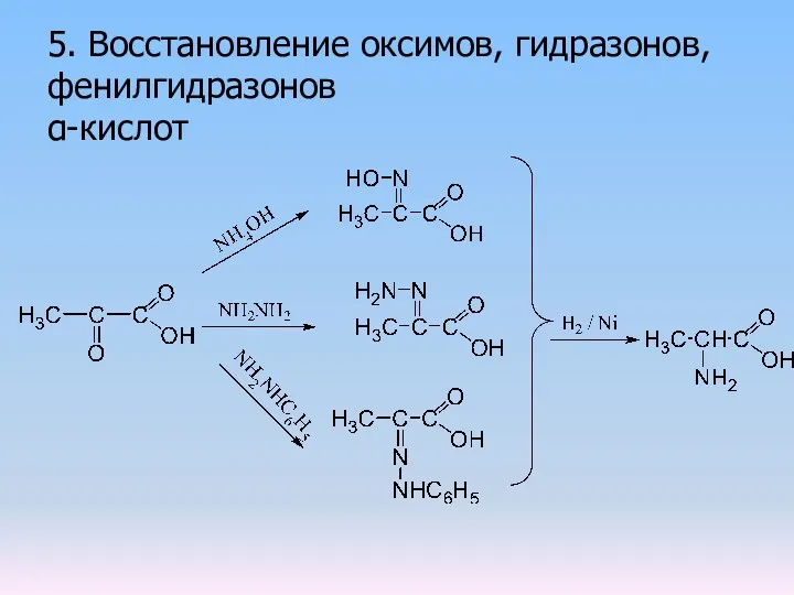 5. Восстановление оксимов, гидразонов, фенилгидразонов α-кислот