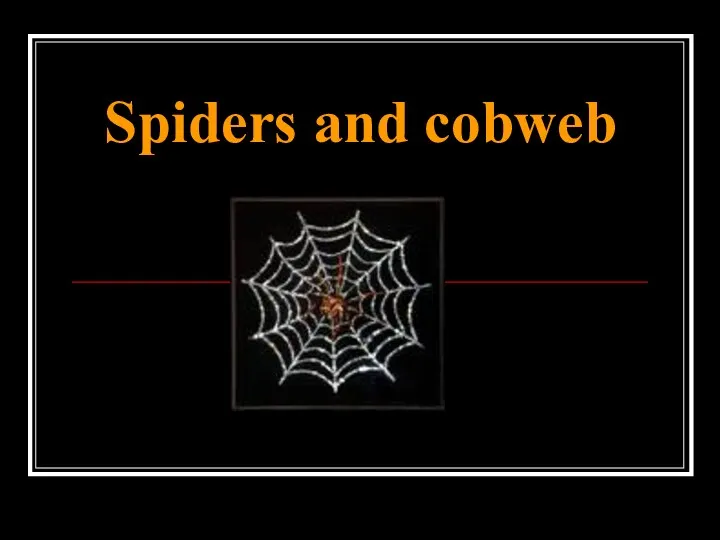 Spiders and cobweb