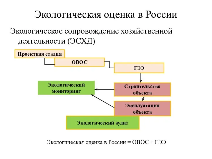 Экологическая оценка в России Экологическое сопровождение хозяйственной деятельности (ЭСХД) Проектная