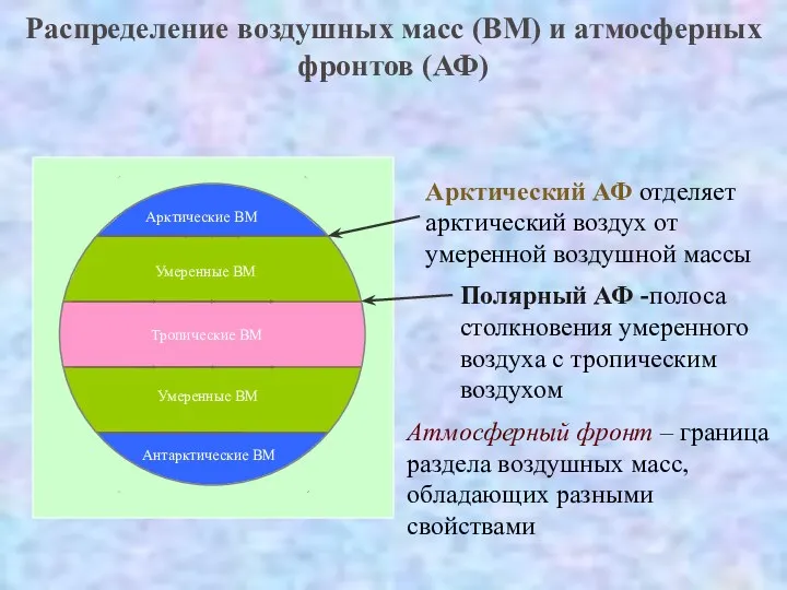 Арктические ВМ Умеренные ВМ Умеренные ВМ Антарктические ВМ Тропические ВМ