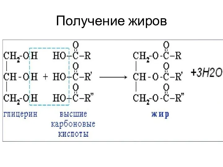 Получение жиров