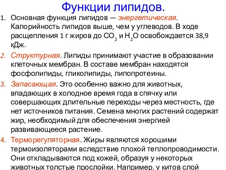 Функции липидов. Основная функция липидов — энергетическая. Калорийность липидов выше,