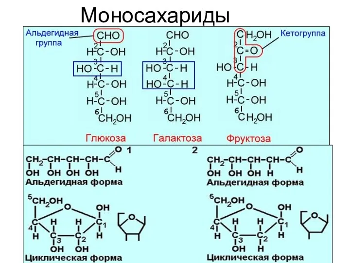 Моносахариды