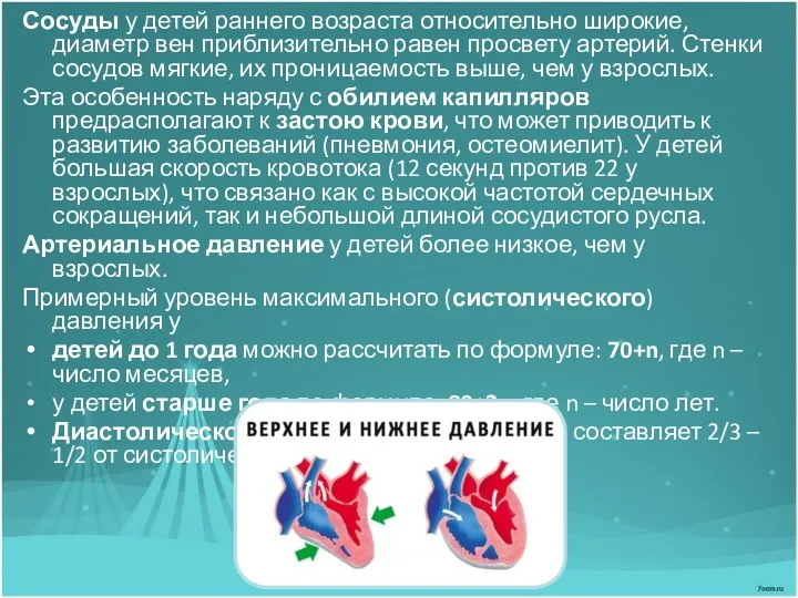 Сосуды у детей раннего возраста относительно широкие, диаметр вен приблизительно