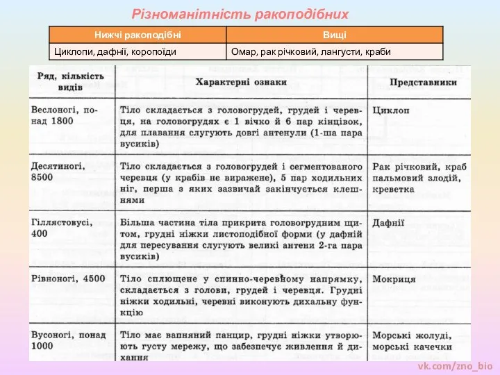 Різноманітність ракоподібних vk.com/zno_bio