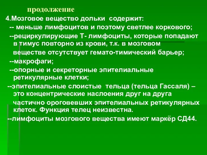 продолжение 4.Мозговое вещество дольки содержит: -- меньше лимфоцитов и поэтому