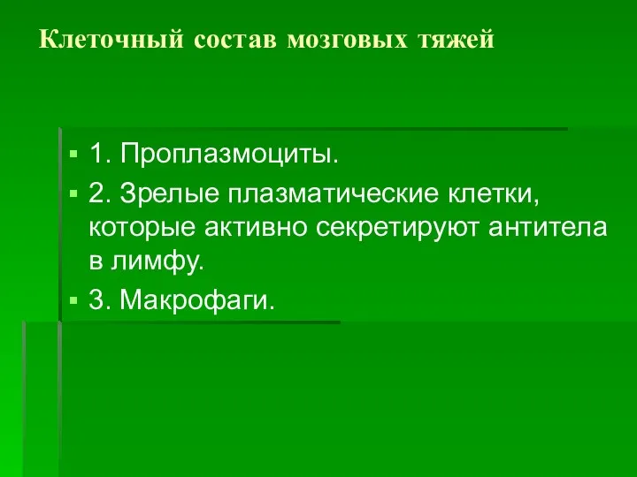 Клеточный состав мозговых тяжей 1. Проплазмоциты. 2. Зрелые плазматические клетки,