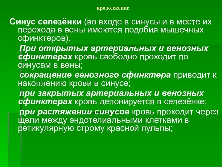 продолжение Синус селезёнки (во входе в синусы и в месте их перехода в