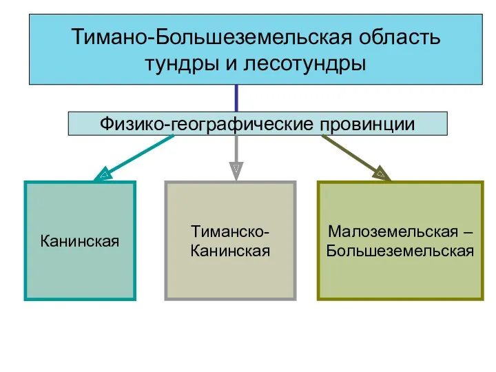 Тимано-Большеземельская область тундры и лесотундры Физико-географические провинции Канинская Тиманско- Канинская Малоземельская – Большеземельская