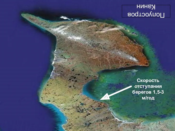 Полуостров Канин Скорость отступания берегов 1,5-3 м/год