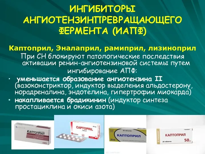 ИНГИБИТОРЫ АНГИОТЕНЗИНПРЕВРАЩАЮЩЕГО ФЕРМЕНТА (ИАПФ) Каптоприл, Эналаприл, рамиприл, лизиноприл При СН блокируют патологические последствия