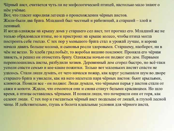 Чёрный аист, считается чуть ли не мифологической птицей, настолько мало