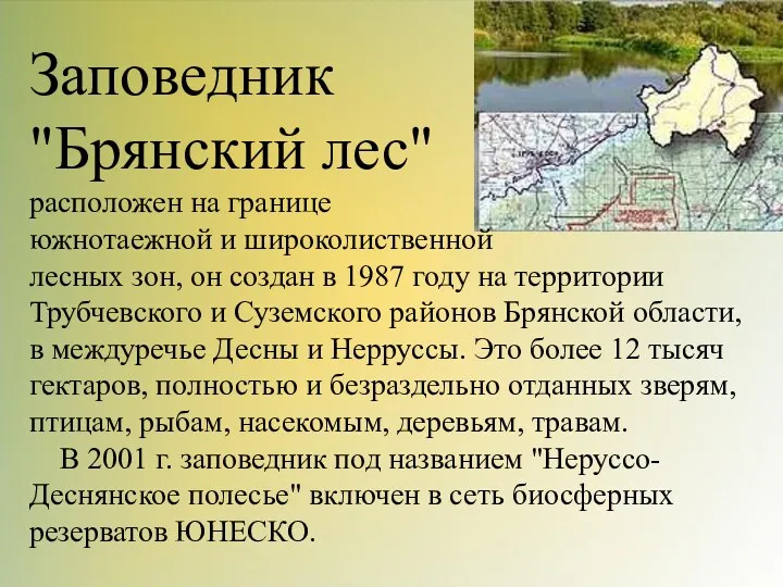 Заповедник "Брянский лес" расположен на границе южнотаежной и широколиственной лесных