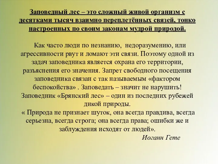 Заповедный лес – это сложный живой организм с десятками тысяч