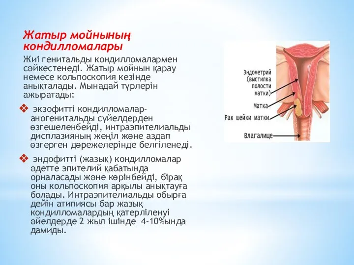 Жатыр мойнының кондилломалары Жиі генитальды кондилломалармен сәйкестенеді. Жатыр мойнын қарау